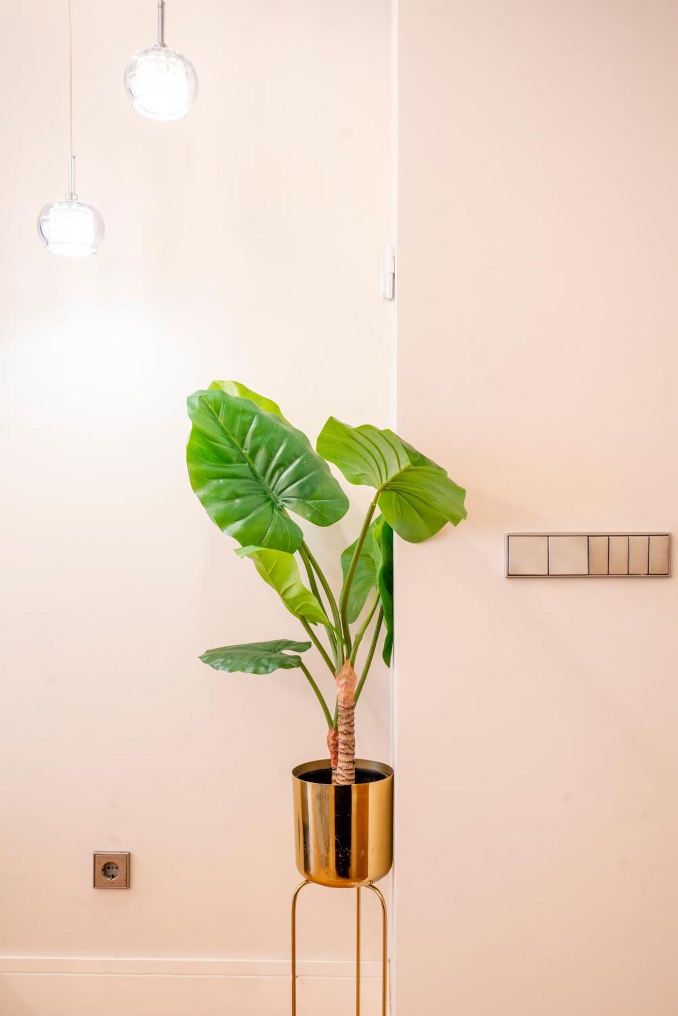 V73 Elegance & Comfort - Luxury In Barrio Salamanca Apartamento Madrid